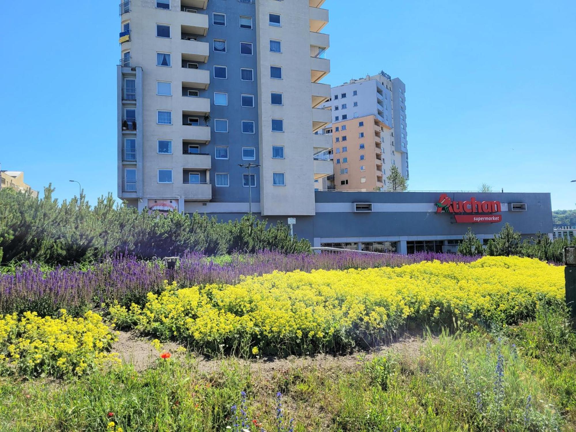 Apartment Przystanek Redlowo